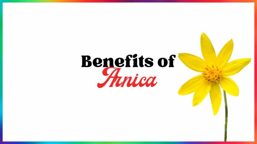 Benefits of Arnica