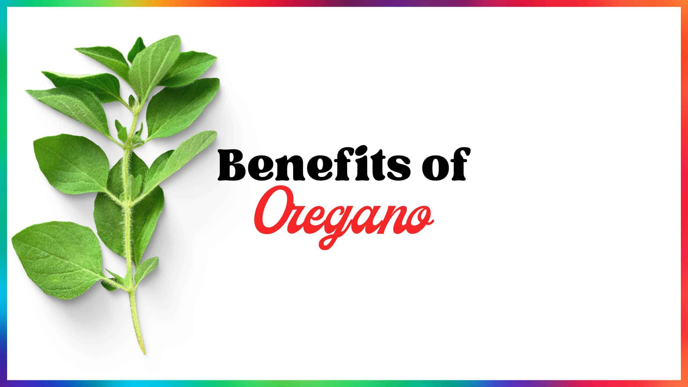 Benefits of Oregano